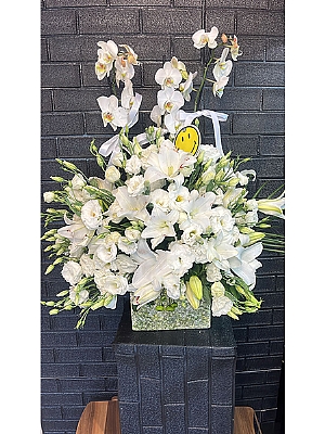 Beyaz Orkide Arajman